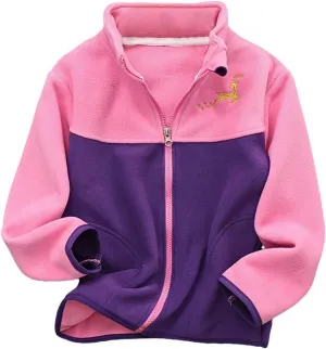 Boys Winter Jackets Coats Kids Boys Thick Cotton Padded Sports Jacket Sweatshirt Fleece Winter (Hot Pink, 4-5 Years)